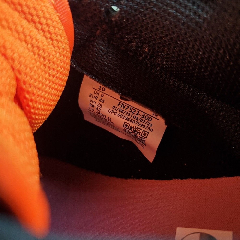 Nike Dunk Low Gone Fishing Rainbow Trout Shoes Mens 8.5, 10 FN7523-300 - Picture 10 of 13